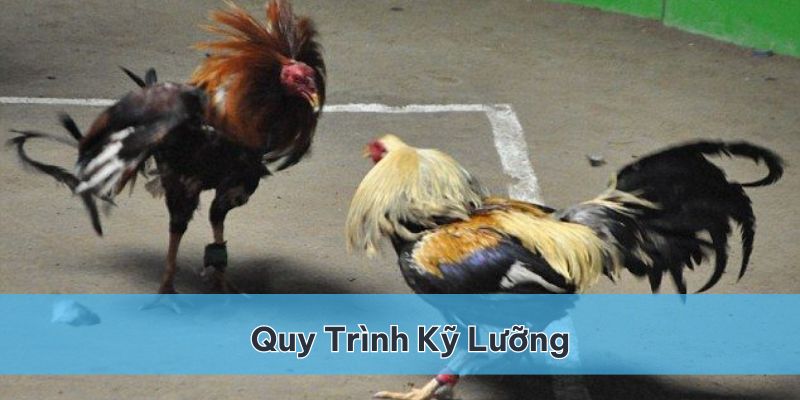 Quy trình tham gia kỹ lưỡng và chuẩn xác